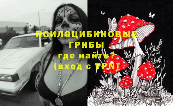 MDMA Богородск