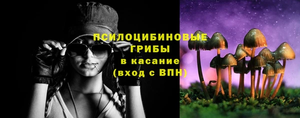 скорость Богданович