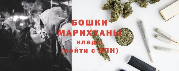 прущие грибы Богородицк