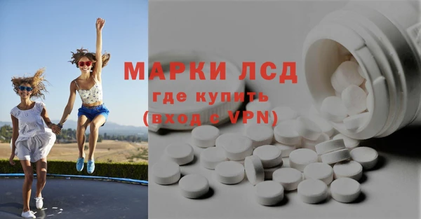 прущие грибы Богородицк