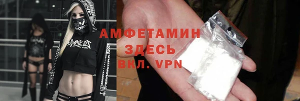 прущие грибы Богородицк