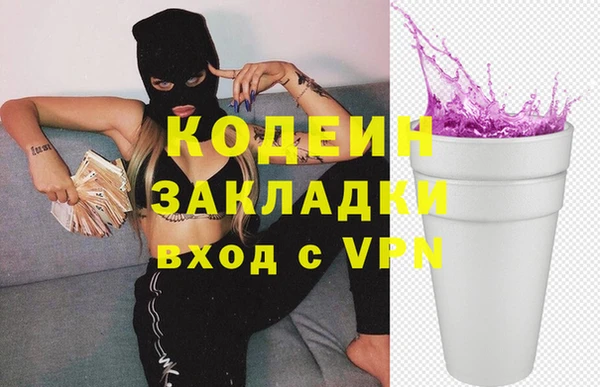 прущие грибы Богородицк