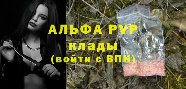 прущие грибы Богородицк