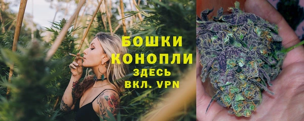скорость Богданович