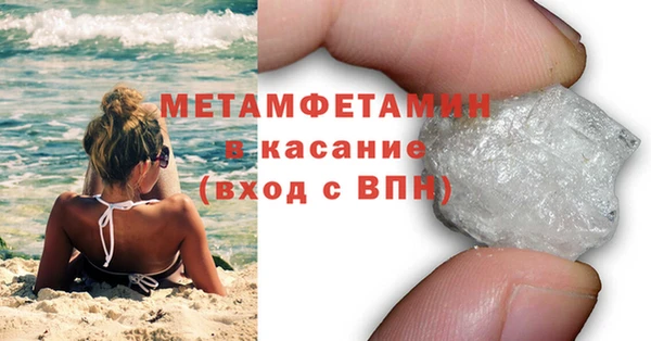 прущие грибы Богородицк