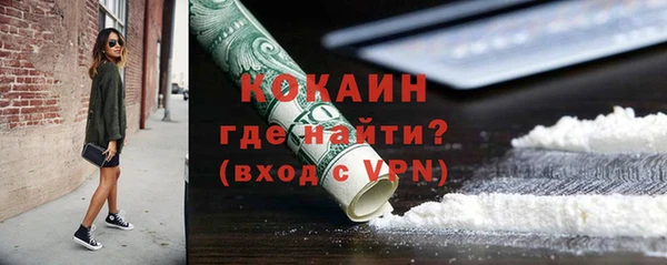 прущие грибы Богородицк